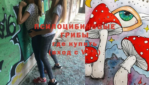 прущая мука Аркадак