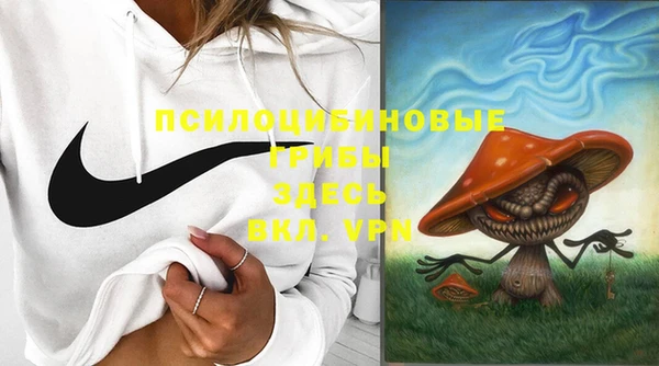 ALPHA PVP Арсеньев