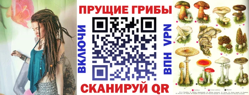 Псилоцибиновые грибы Psilocybe Юрга