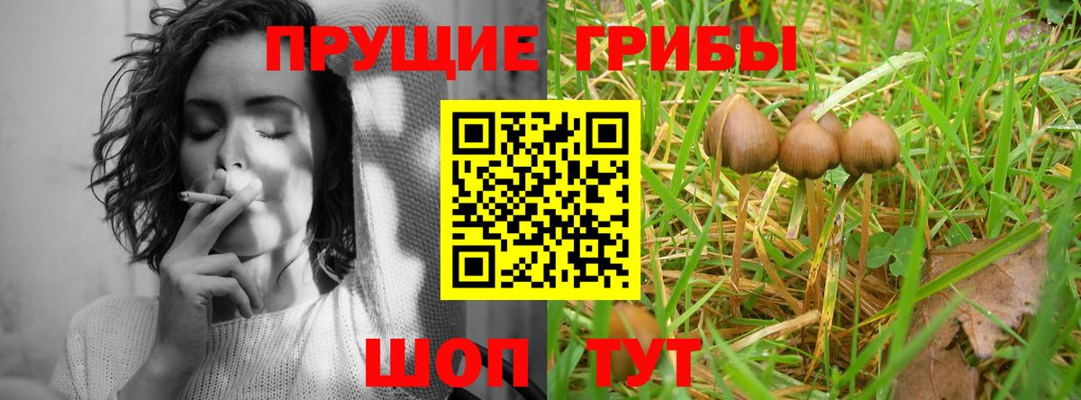 Галлюциногенные грибы MAGIC MUSHROOMS  Вход с VPN  Псилоцибиновые грибы Cubensis  Юрга 